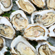 Image for article titled Should We Really Be Eating Raw Oysters?
